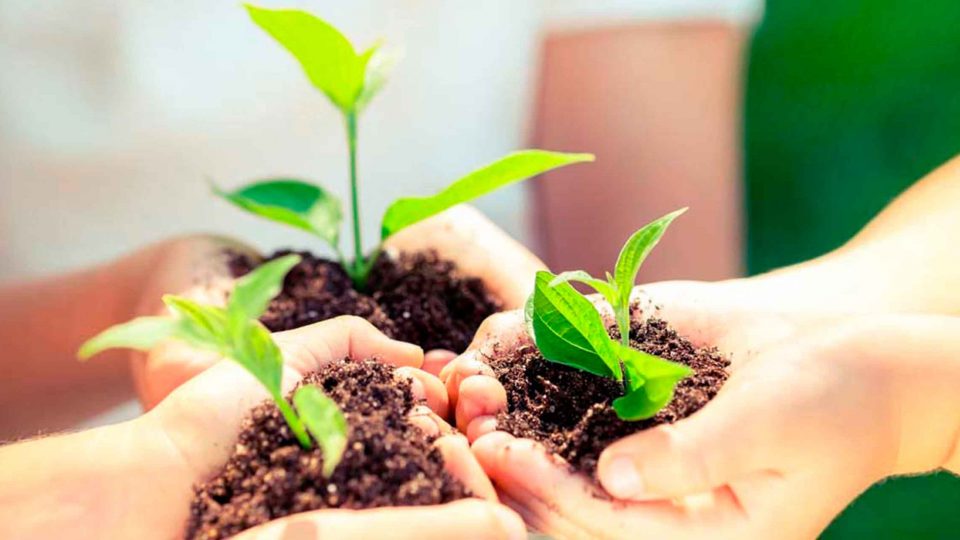 10 consejos para cuidar nuestro Planeta